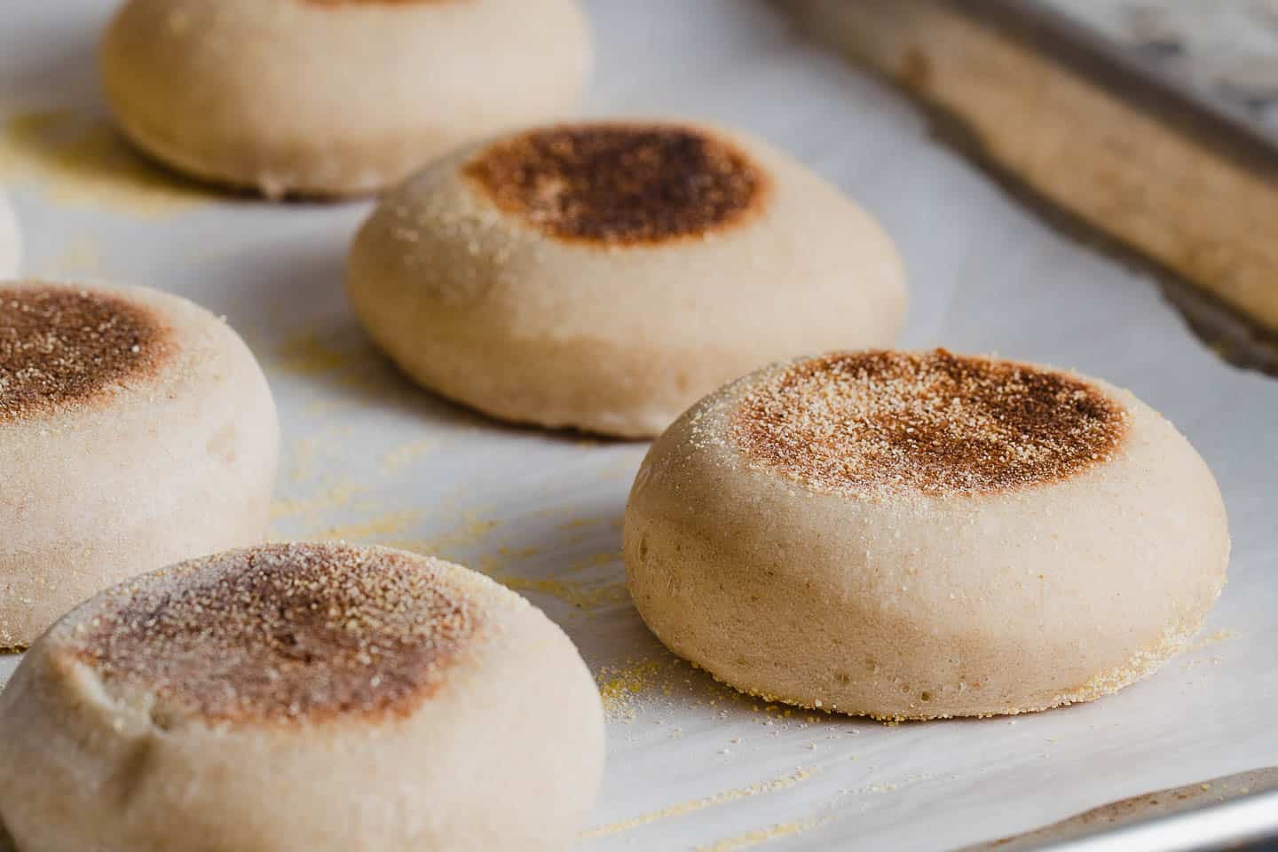 Sourdough English Muffins